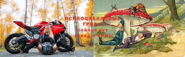 прущие крисы Горнозаводск